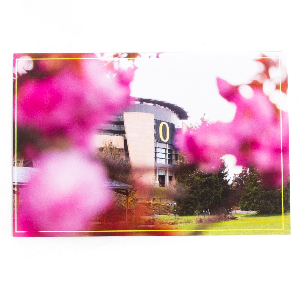 Duck Store, Postcard, Autzen with Cherry Blossoms